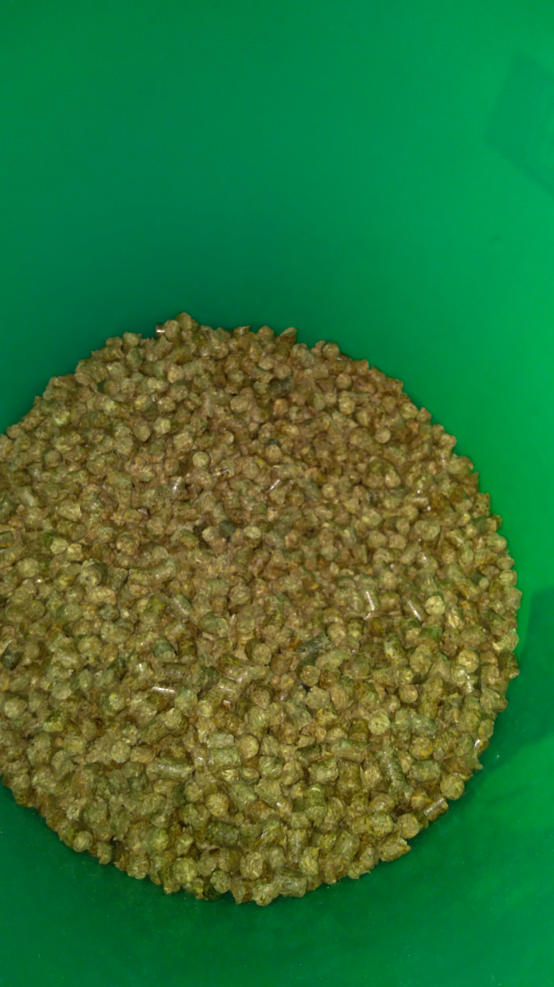 ForumEA/T/secchio verde pellet.jpeg